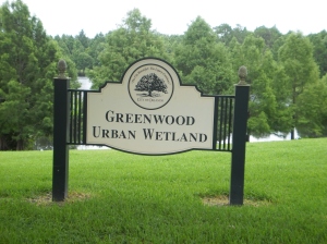Greenwood Urban Wetland