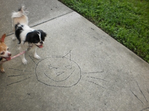 Yuki and Jynx admiring the sidewalk art